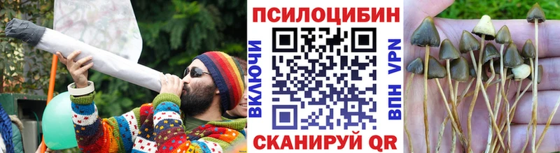 Псилоцибиновые грибы Psilocybine cubensis  где продают   Карабулак 