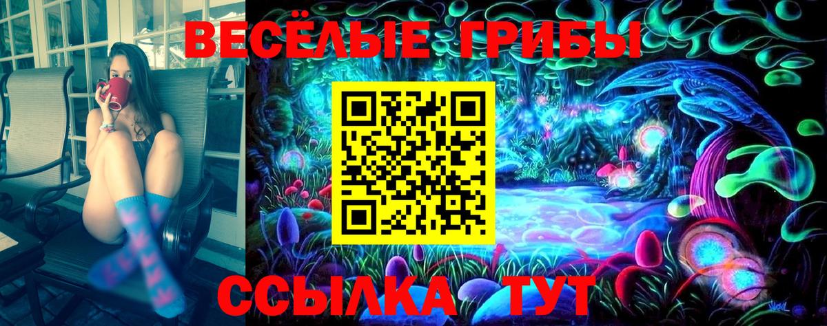Псилоцибиновые грибы GOLDEN TEACHER  Вход с VPN  Карабулак  Псилоцибиновые грибы мухоморы 