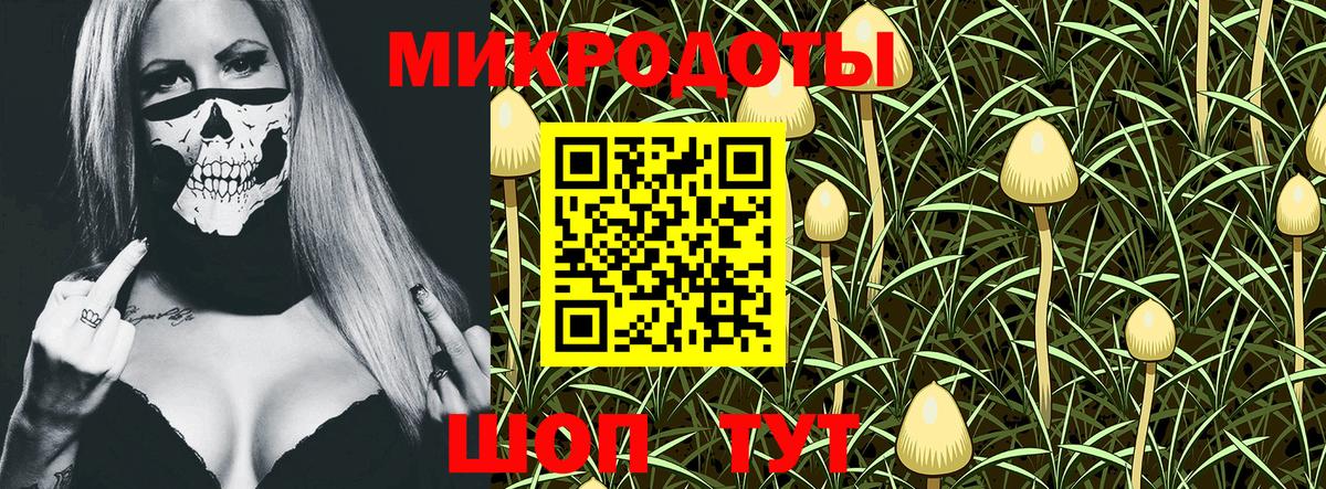 Псилоцибиновые грибы Magic Shrooms Карабулак